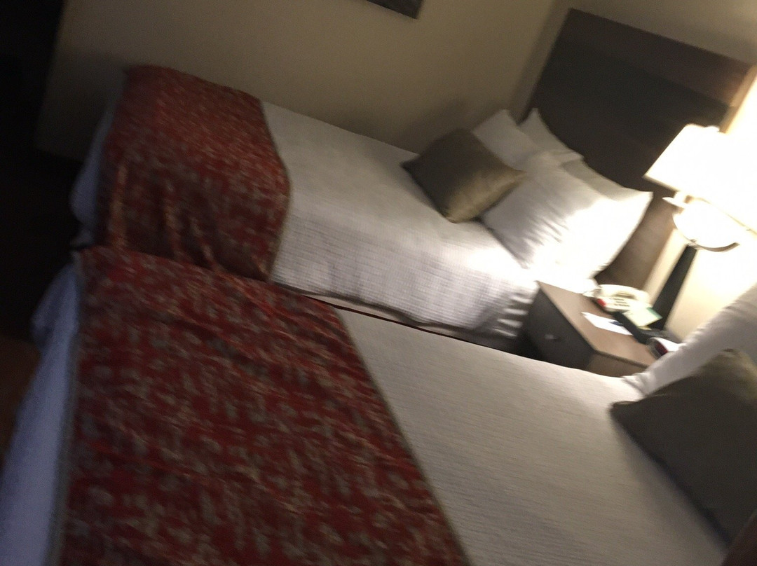 Best Western Princeton Manor Inn & Suites主图