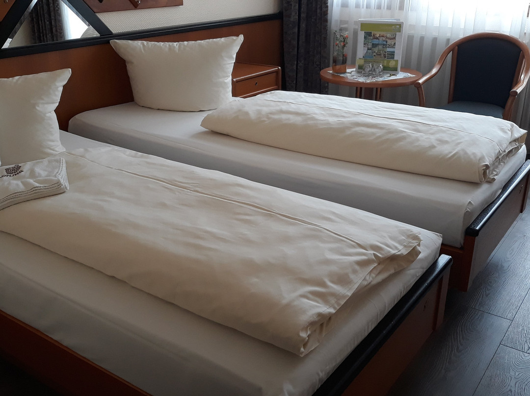Hotel Sonnenblick主图