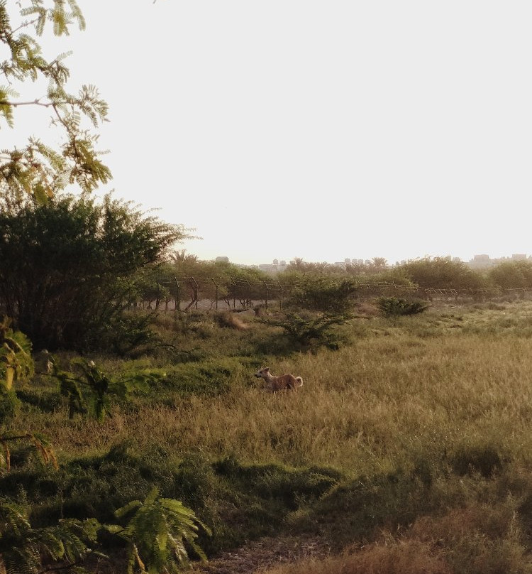 Wadi Hanifa-利雅德必去景点