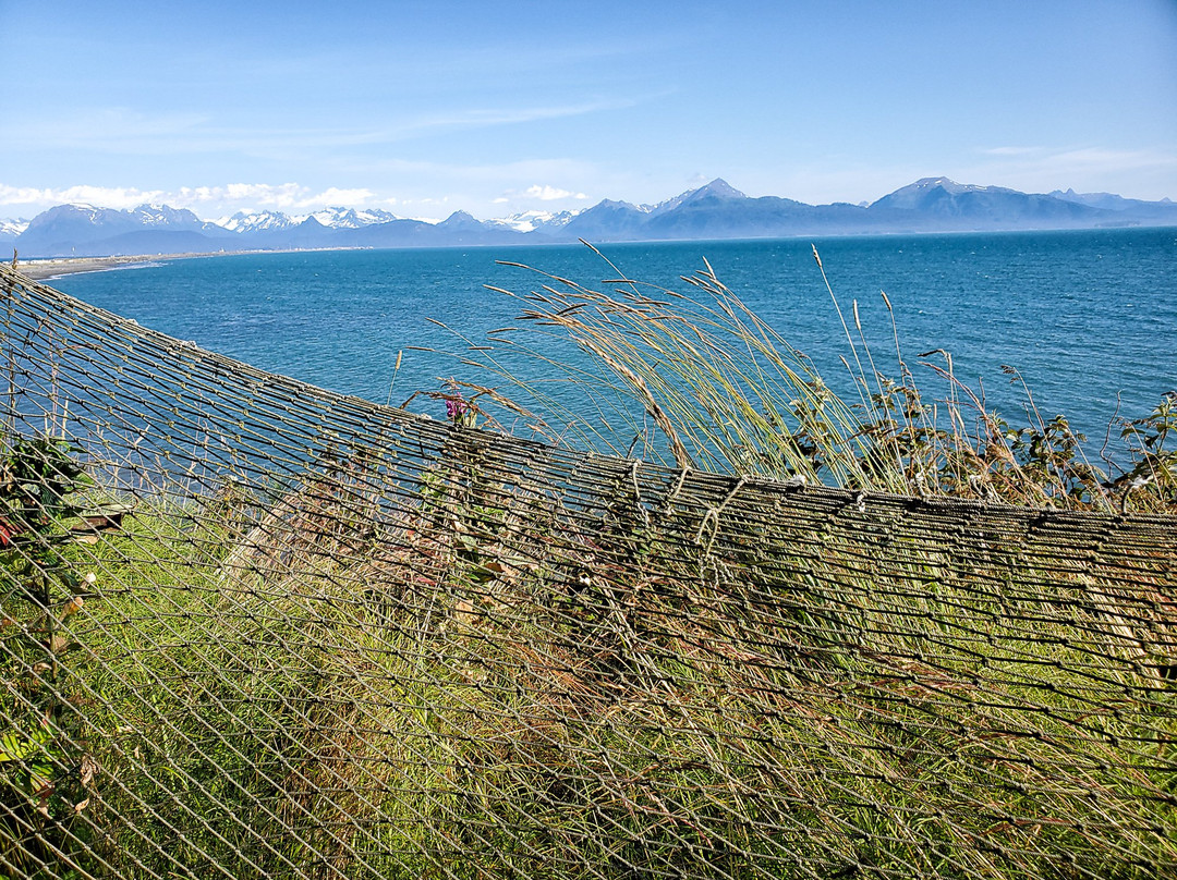 Homer Ocean House Inn Hotel And Condos主图