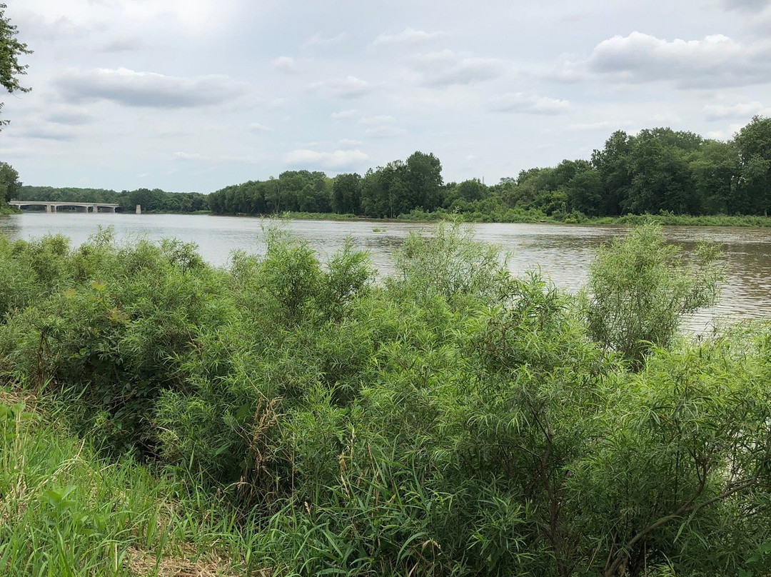 Side Cut Metropark-莫米必去景点