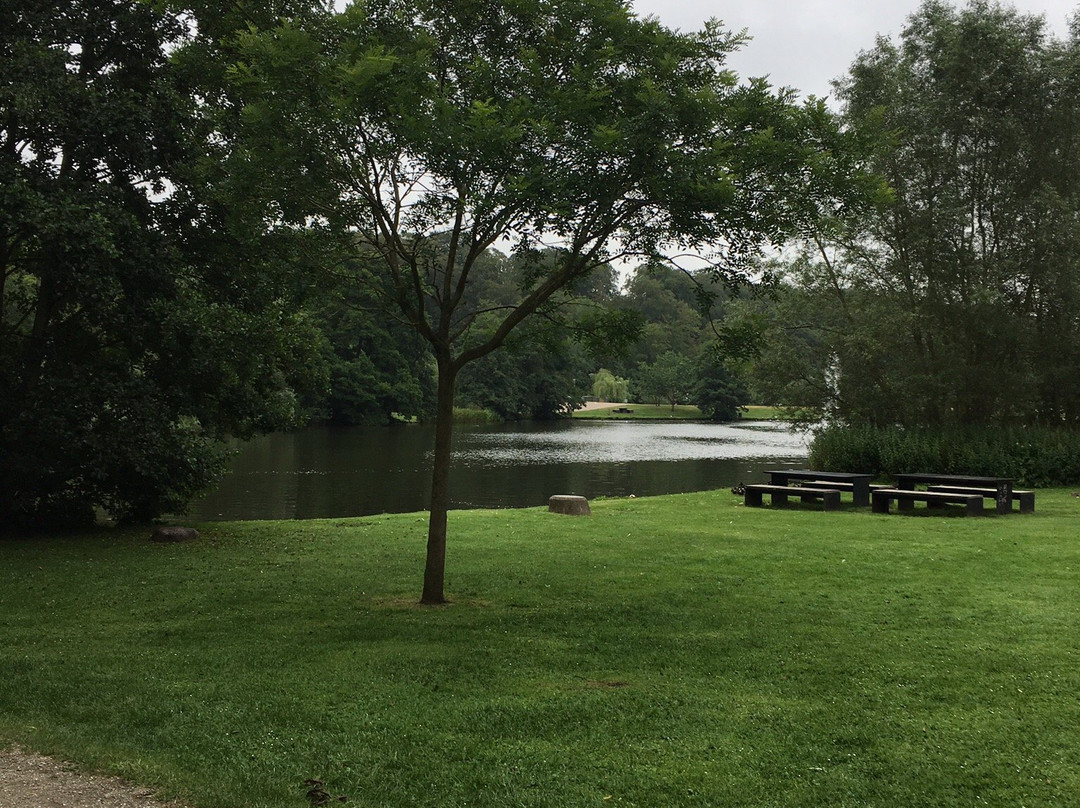 Skovsøen-欧登塞必去景点