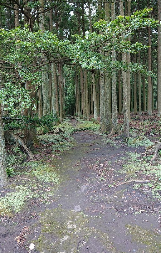 Hajikama shrine-大岛町必去景点