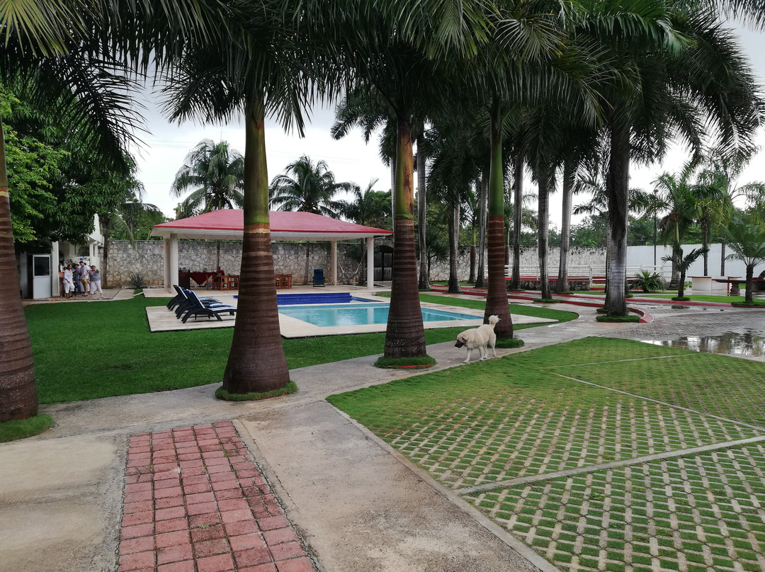 Benito Juarez Municipality酒店住宿-Quinta Juventina