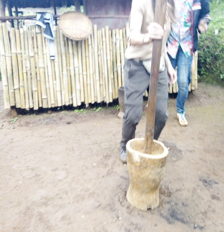 Coffee Tour - Day Tours-托伯莫里必去景点