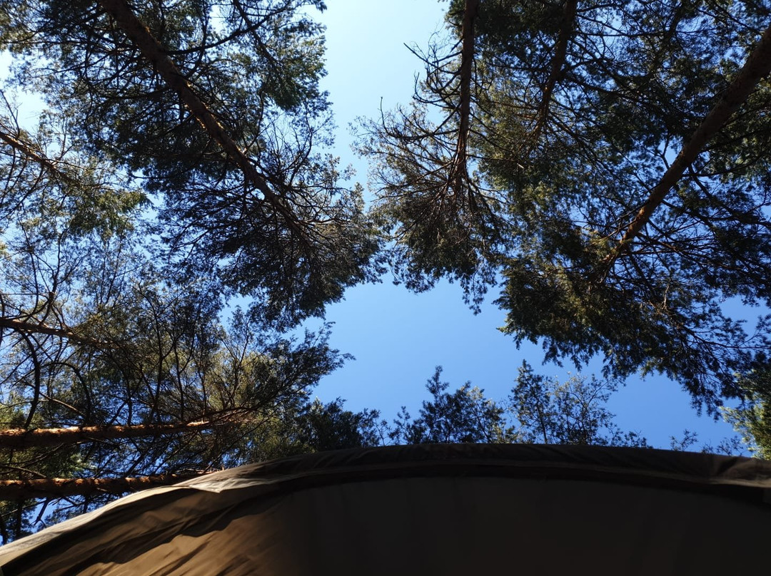 Camping Parc Saint Sauvayre