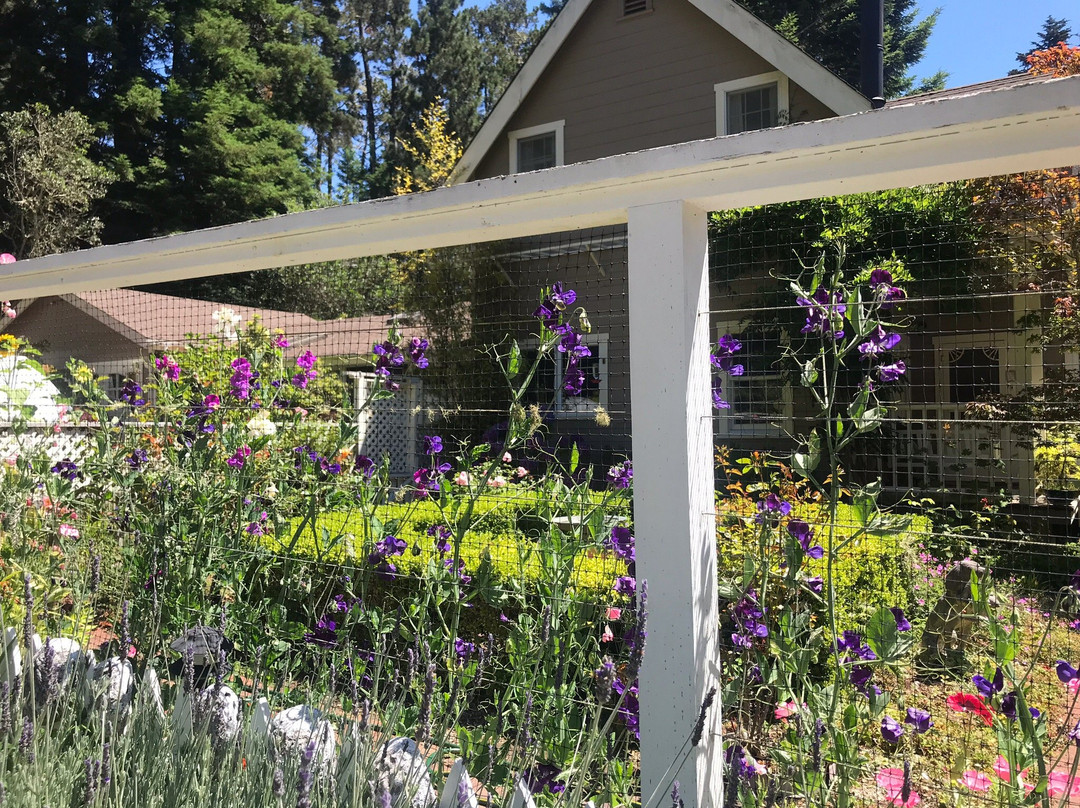 Mendocino Farmhouse主图