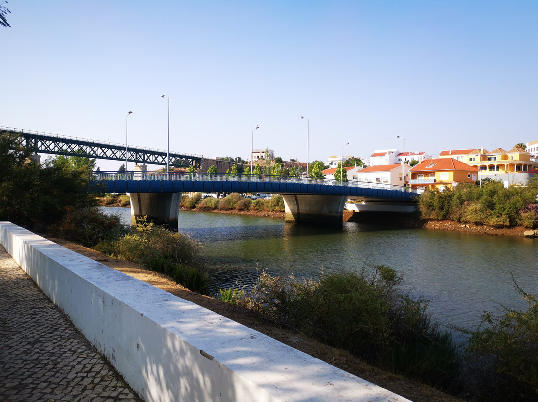 Ponte Ferroviária de Santa Maria景点图片