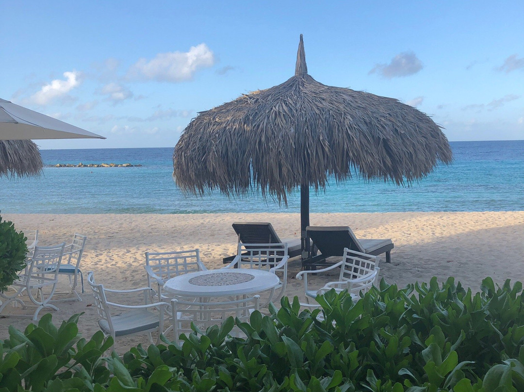 Moomba B&B Ocean Front Hostel主图