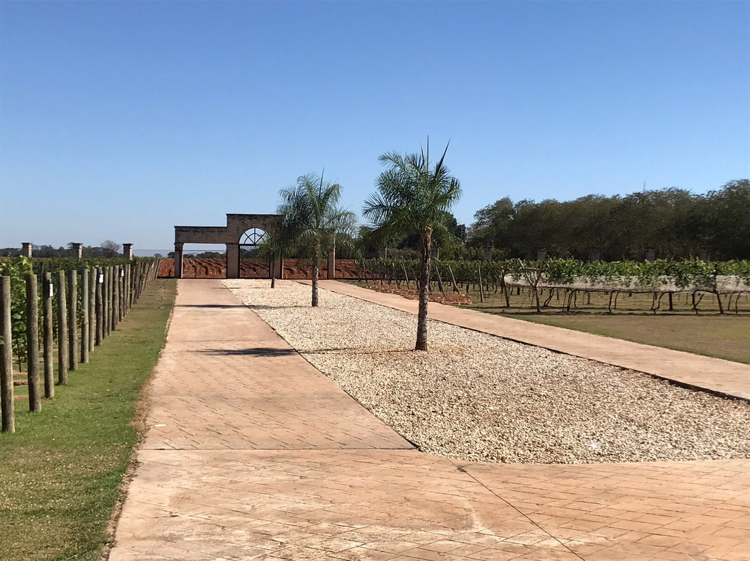 Vinicola Ferracini-Penapolis必去景点