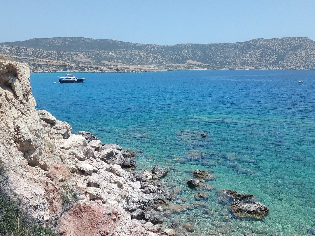 亚历克斯酒店主图