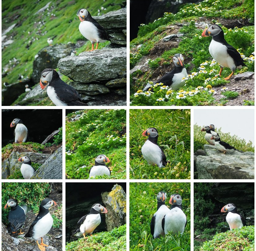 Skellig Adventure-Portmagee必去景点