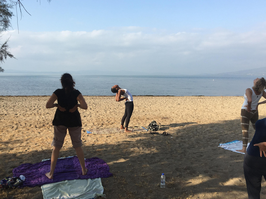 OrganicYogaGreece-Skala Kallonis必去景点