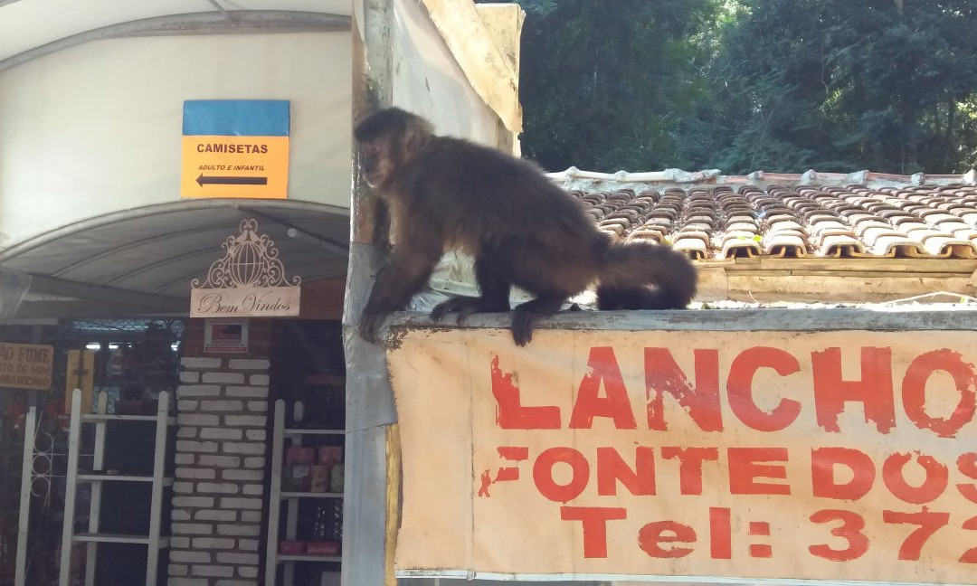 Fonte dos Desejos-Pocos de Caldas必去景点