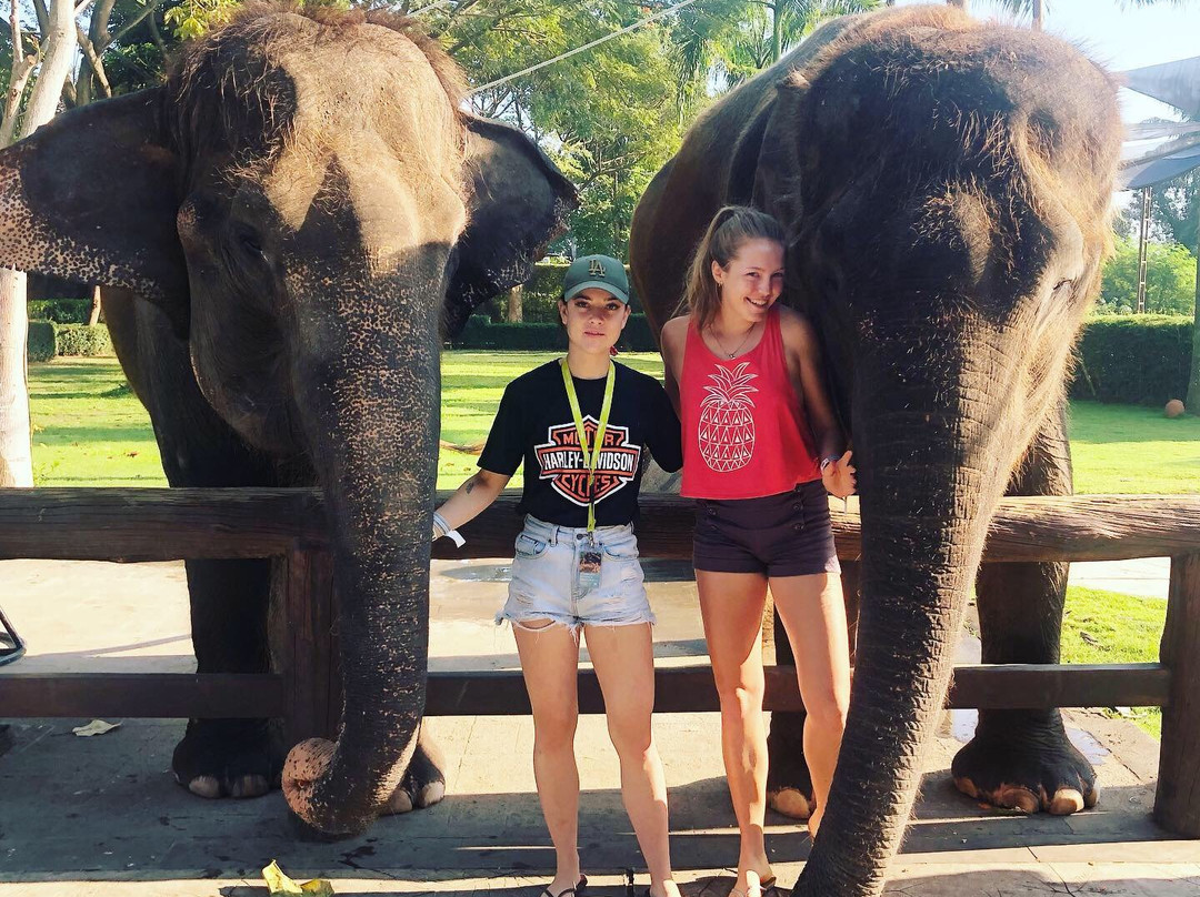 Jady Jack Bali Tour-登巴萨必去景点