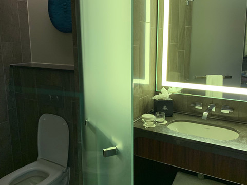 布鲁塞尔唐拉雅秀酒店主图