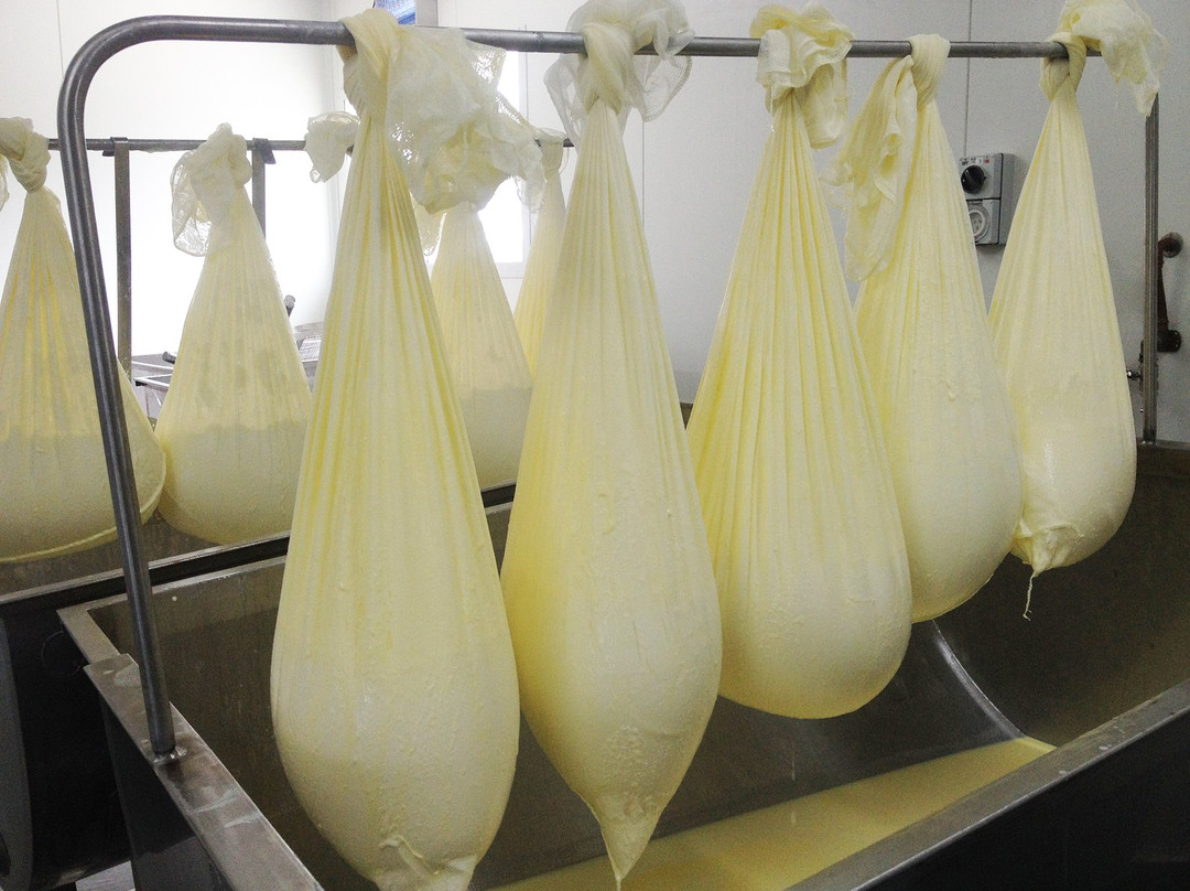 Robe Dairy-罗布必去景点