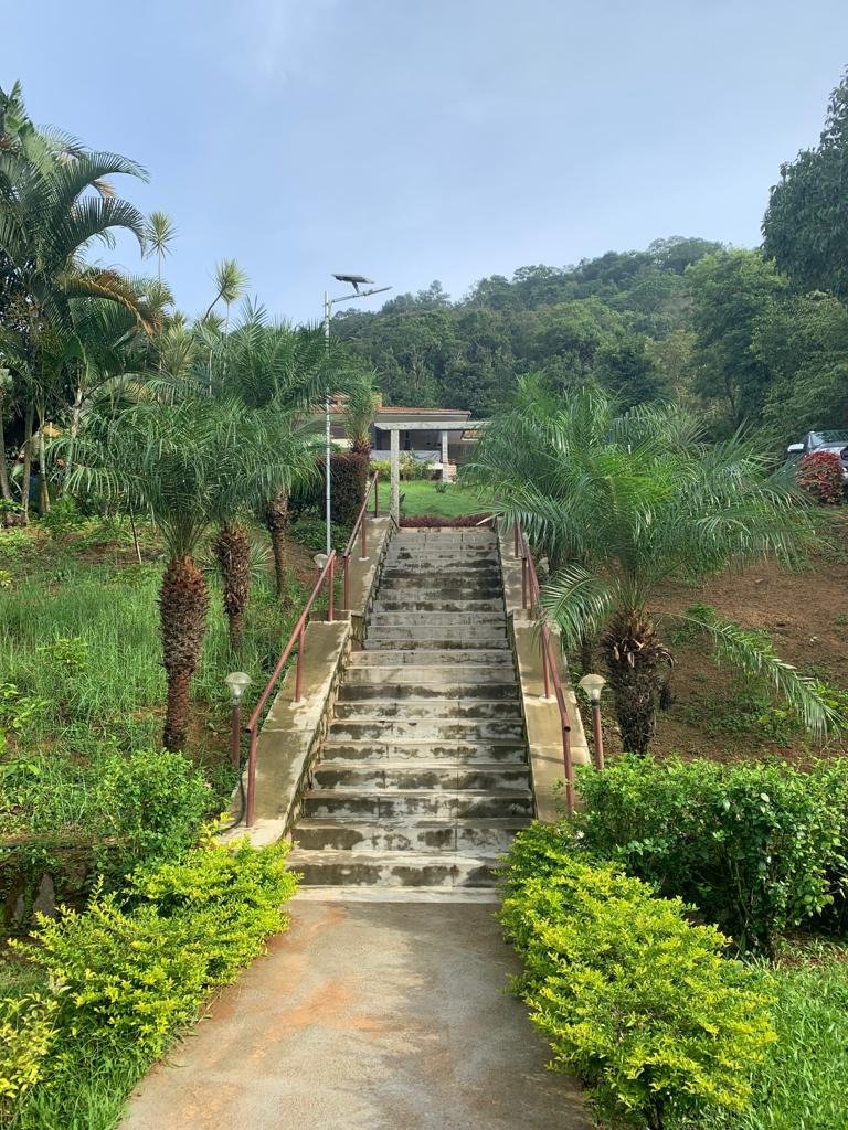 Coffee Trails Coorg-浴室