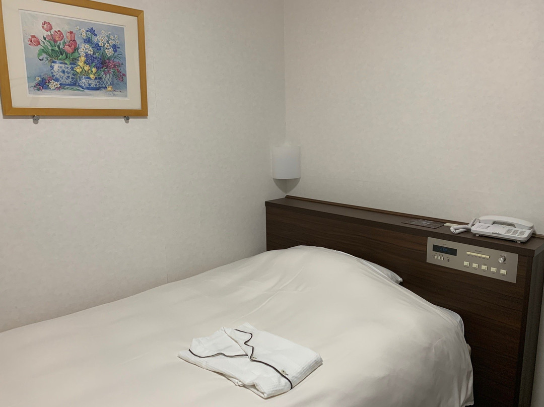 Hotel Alpha 1 Tsuyama主图