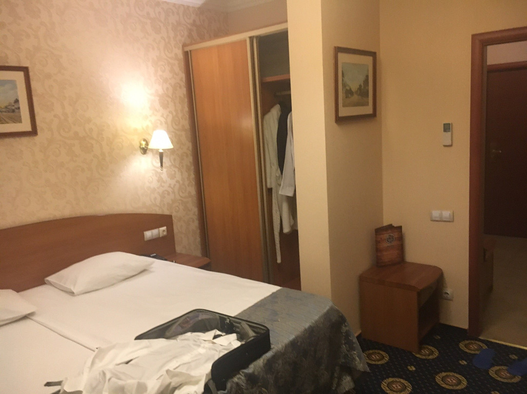 Hotel Sofya主图