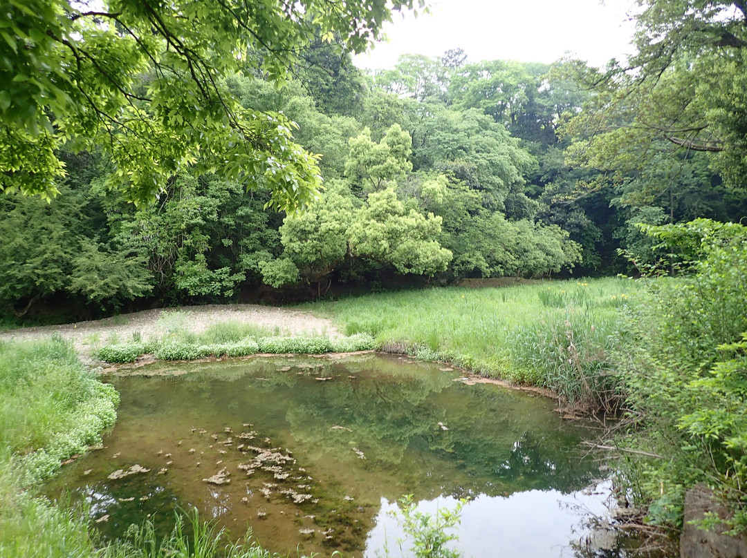 Kameyama Castle Town-龟冈市必去景点