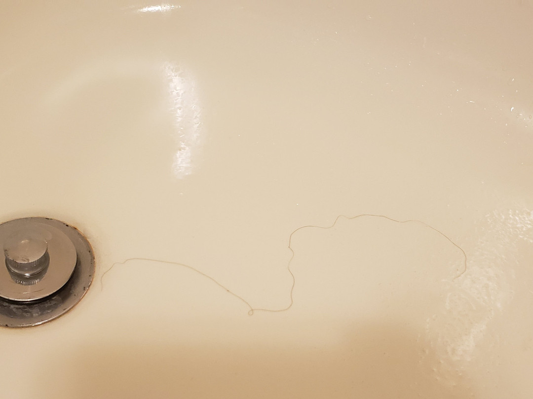 SpringHill Suites by Marriott Centreville Chantilly主图