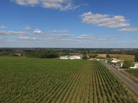 VIGNOBLE DAHERON-Lege必去景点