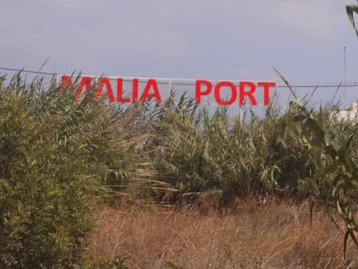 Malia Harbour景点图片