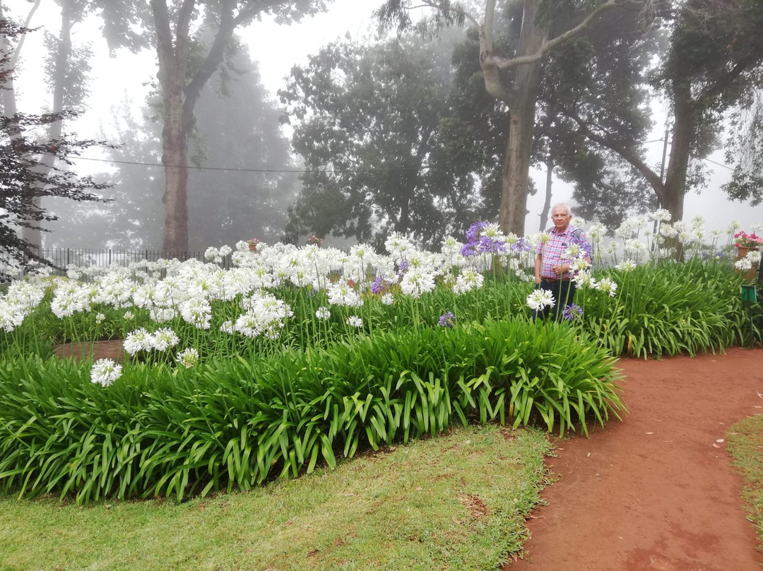 Palheiro Gardens景点图片