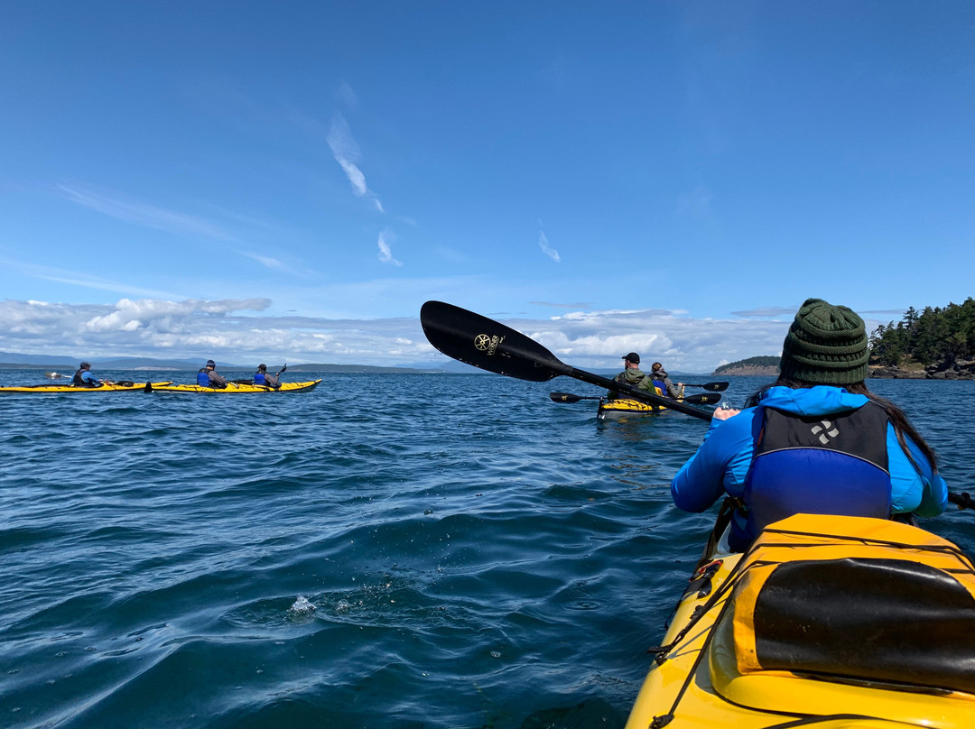 Crystal Seas Kayaking - Day Tours景点图片
