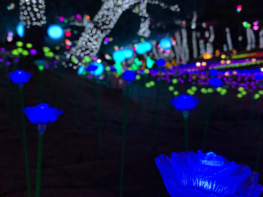 Suyanggae Light Tunnel-丹阳郡必去景点