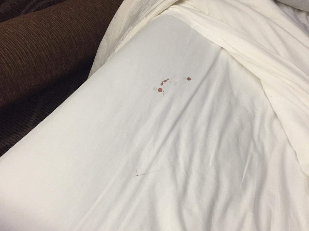 Baymont By Wyndham Bellevue/omaha主图