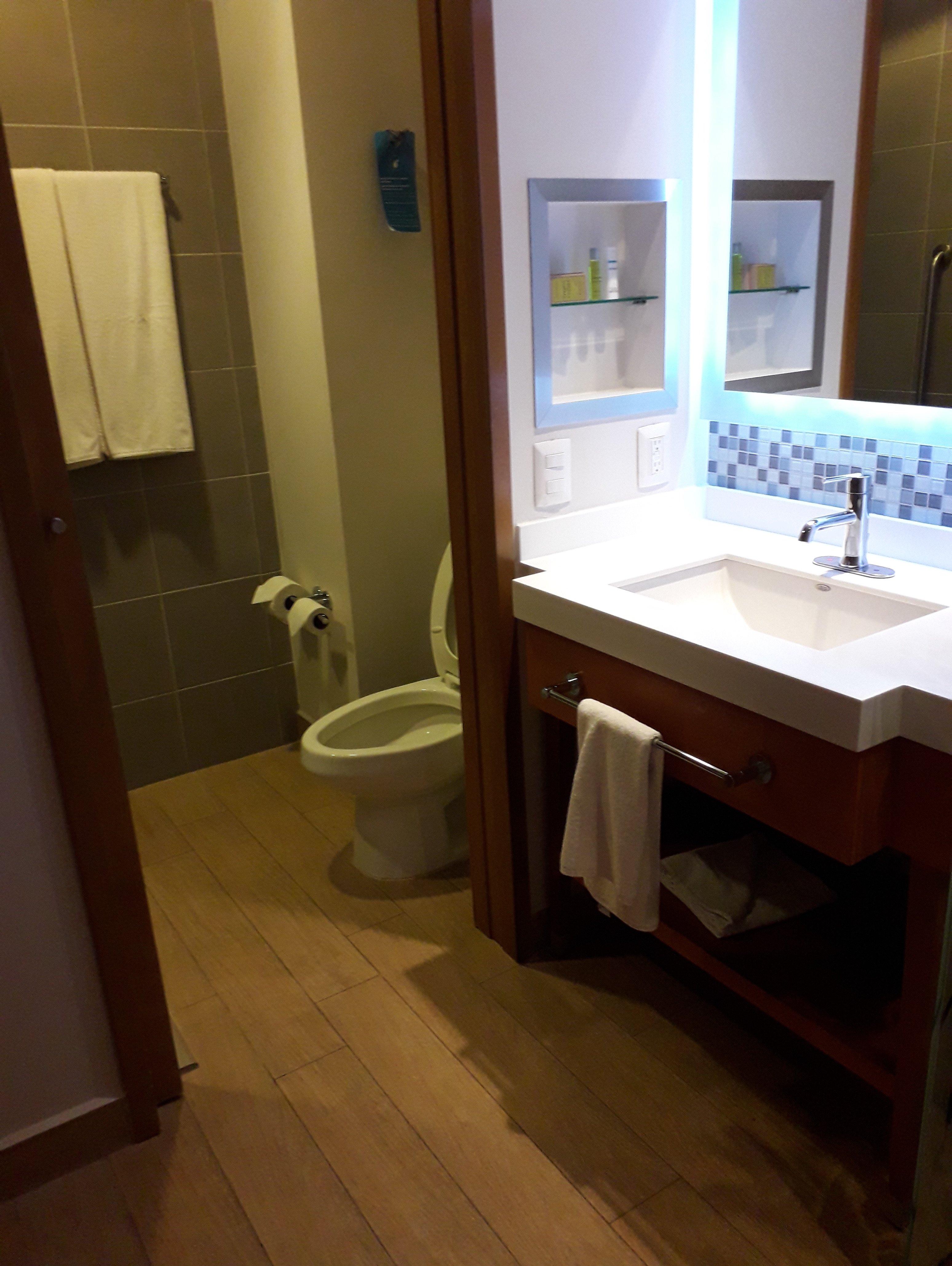 Hampton Inn & Suites By Hilton Paraiso Tabasco-浴室