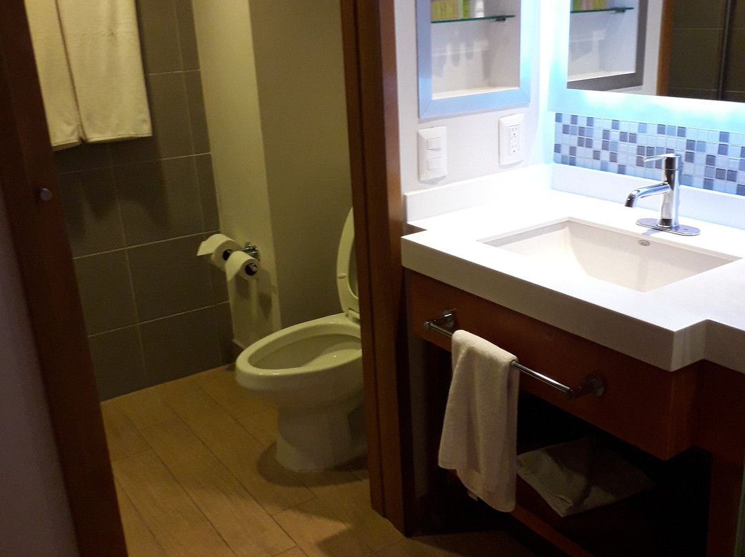 Hampton Inn & Suites By Hilton Paraiso Tabasco主图