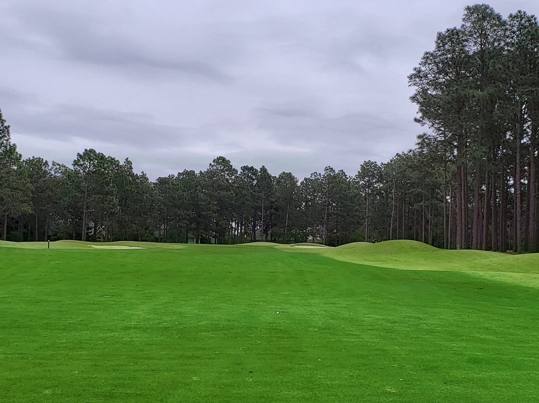 Talamore Golf Resort主图