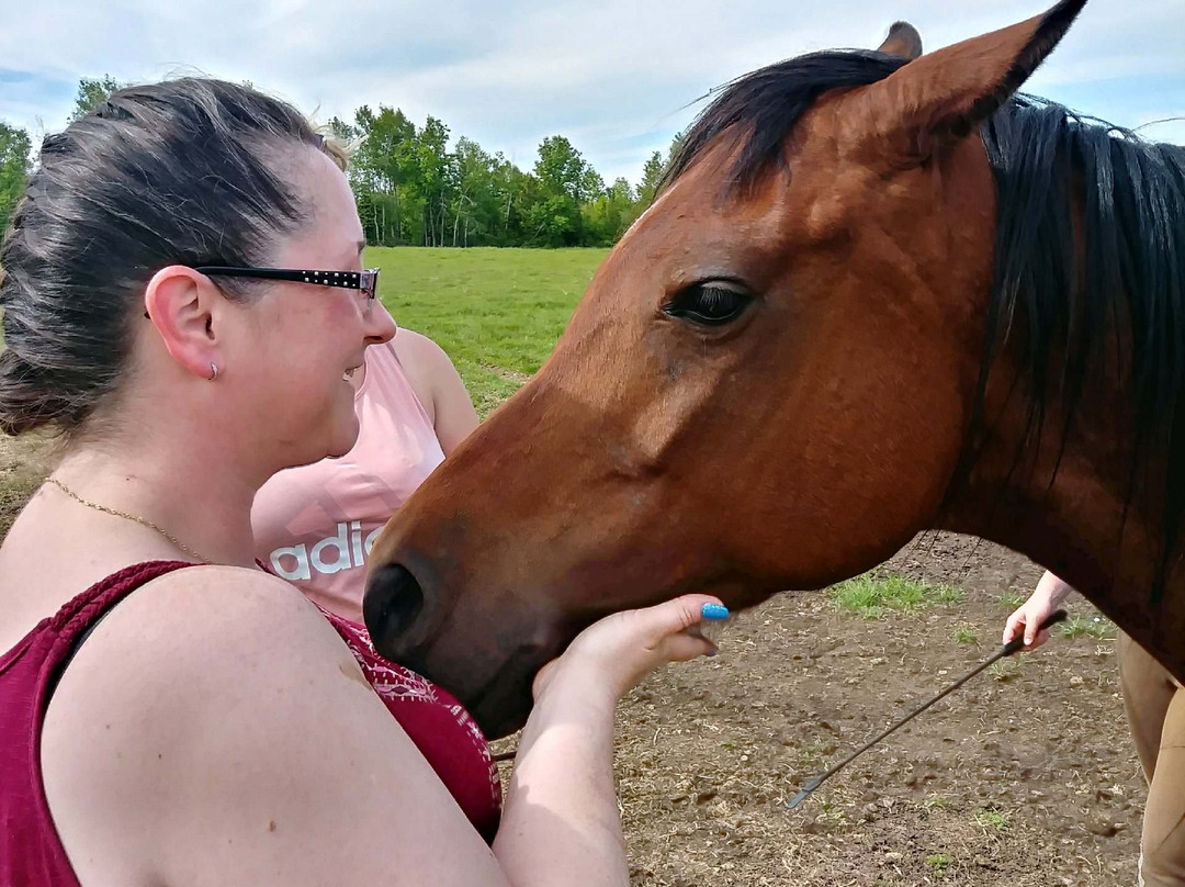 Horsin Around Riding Ranch景点图片