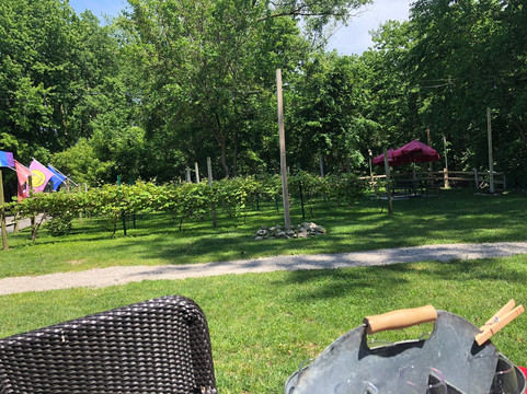 Rocky Point Winery-Marblehead必去景点