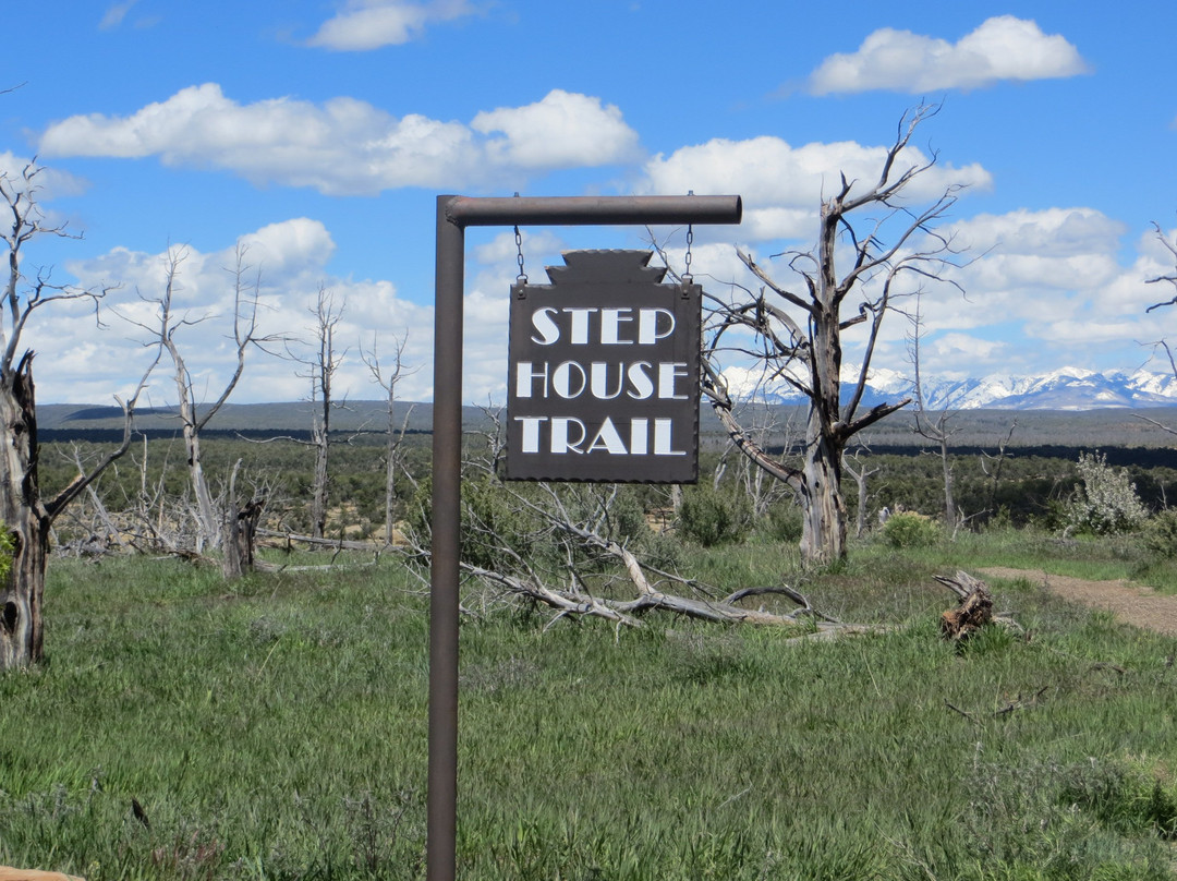 Step House-梅萨维德国家公园必去景点