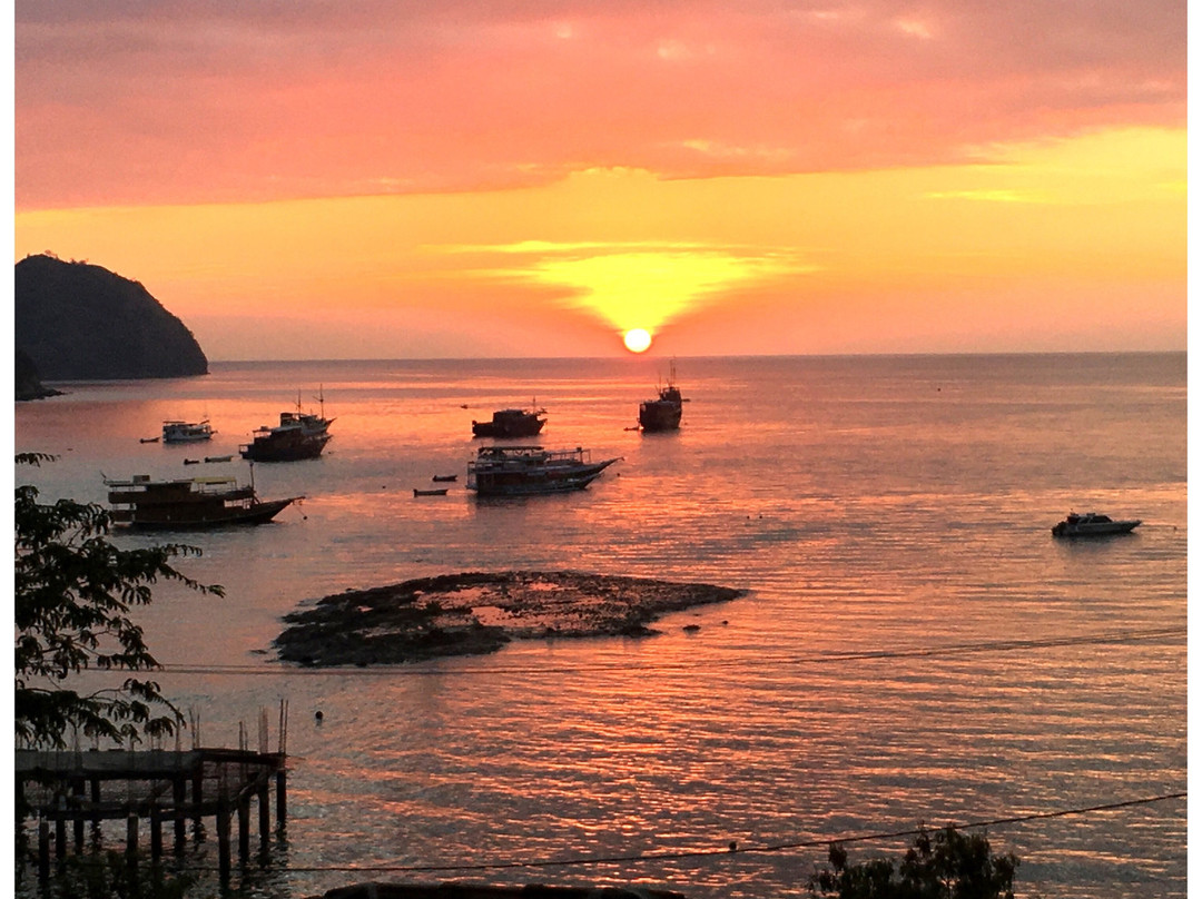 蓝鹦鹉酒店主图