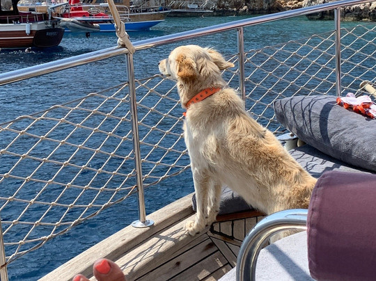 Emir 1 Boat Trip Kalkan-卡尔坎必去景点