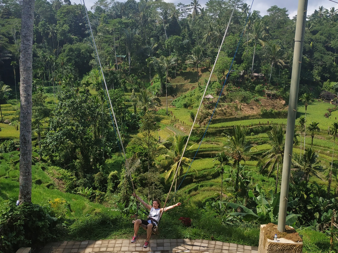 Epo Bali Driver-登巴萨必去景点