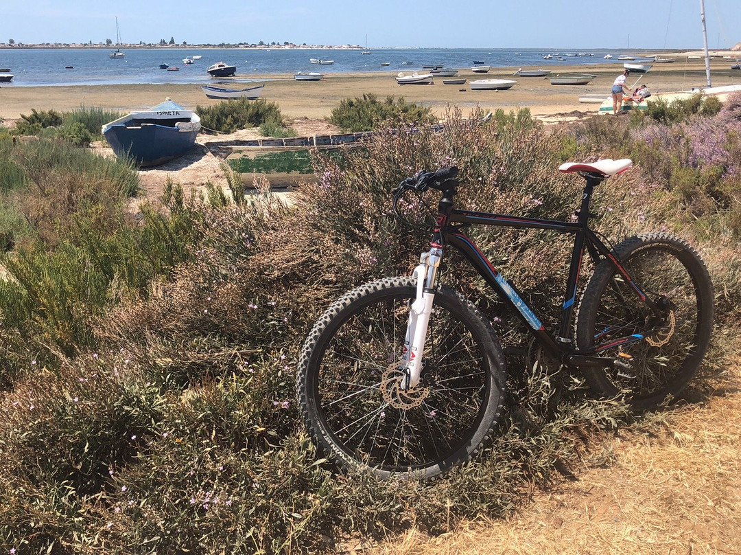 SeaHorse BikeRental景点图片