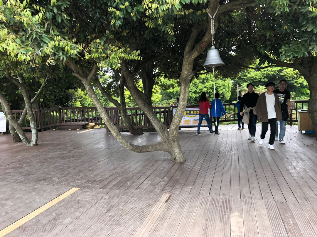 迷宫主题公园-济州必去景点