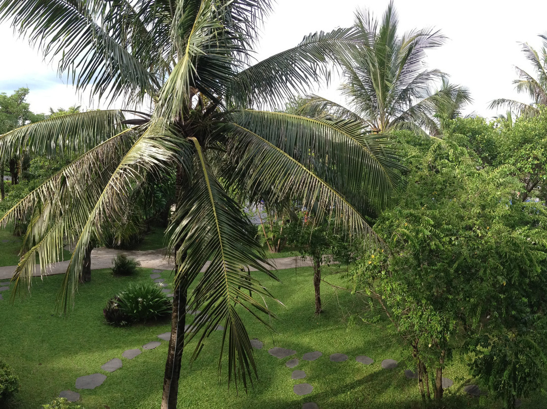 安娜曼德拉度假村主图