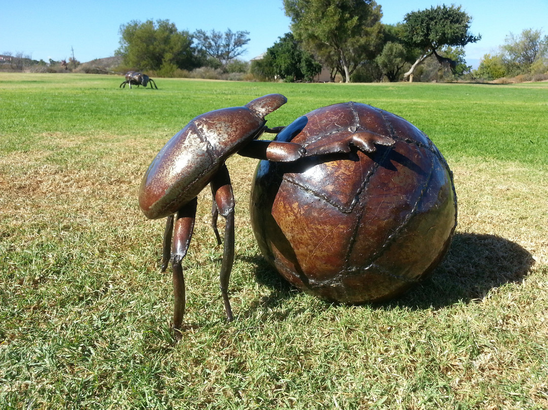 Karoo Desert National Botanical Garden-伍斯特必去景点