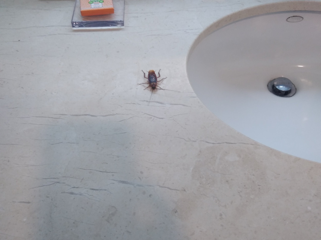 派拉蒙广场套房酒店主图