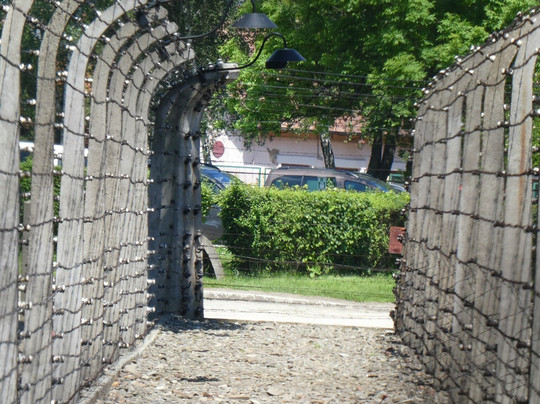 Poland Active - Day Tours-克拉科夫必去景点