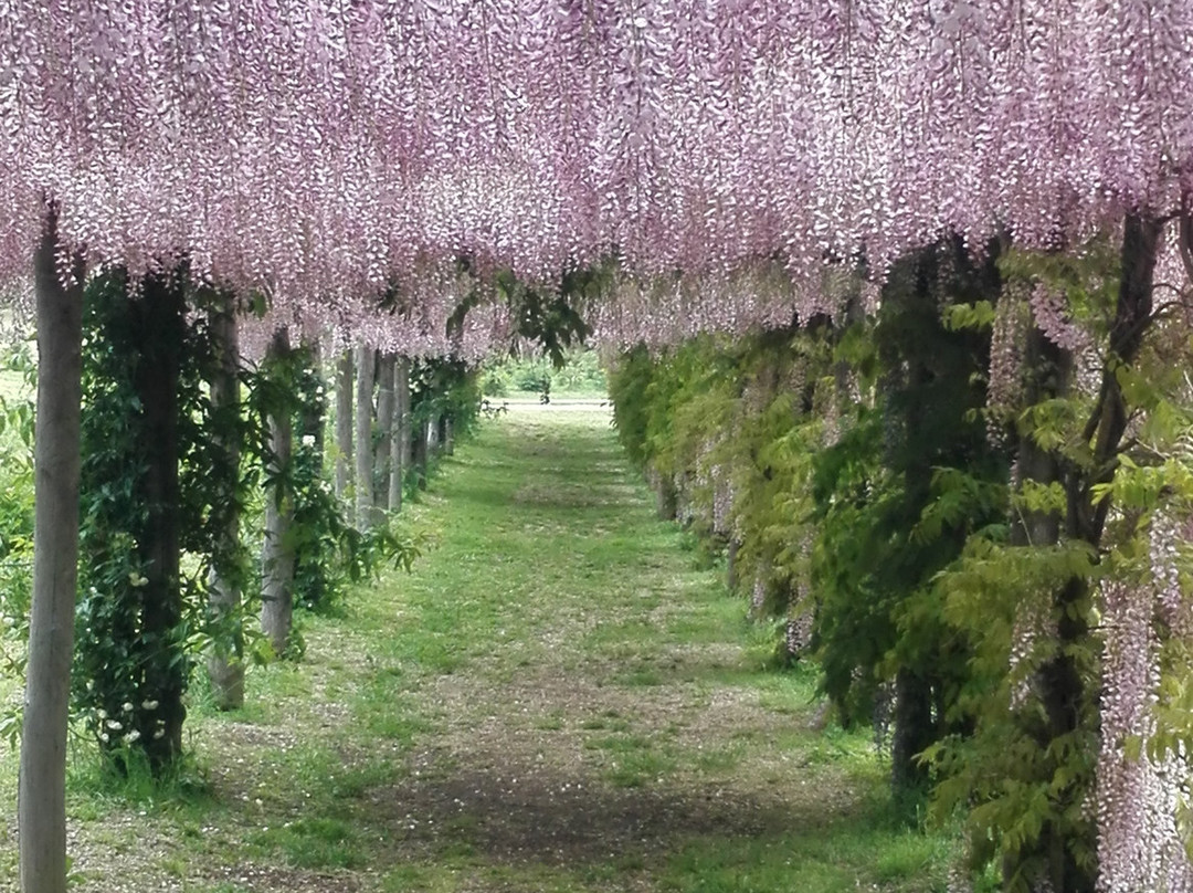 Moutan Botanical Center景点图片