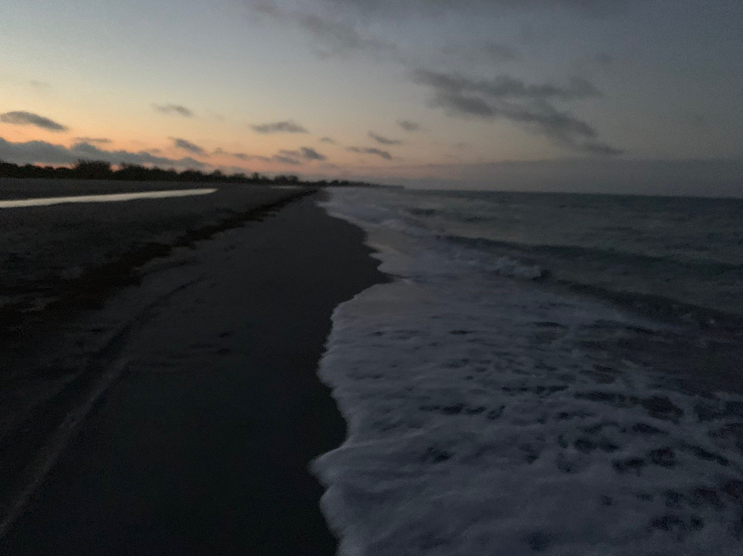 Gulfside City Park Beach景点图片