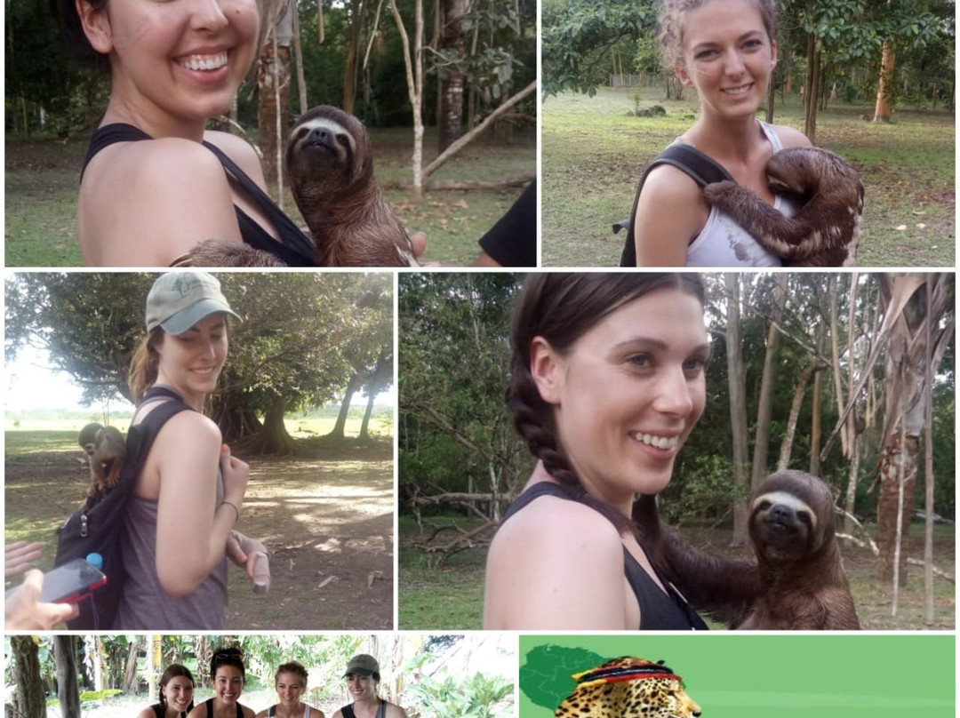 Jibaro Tours & Expeditions-伊基托斯必去景点